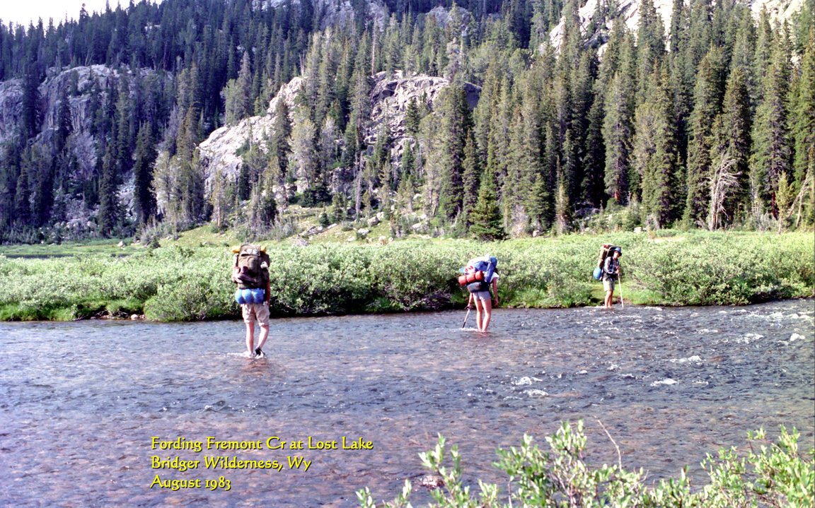 View Original Image