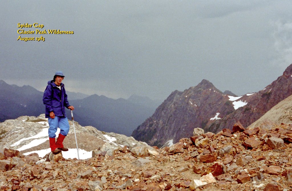 View Original Image