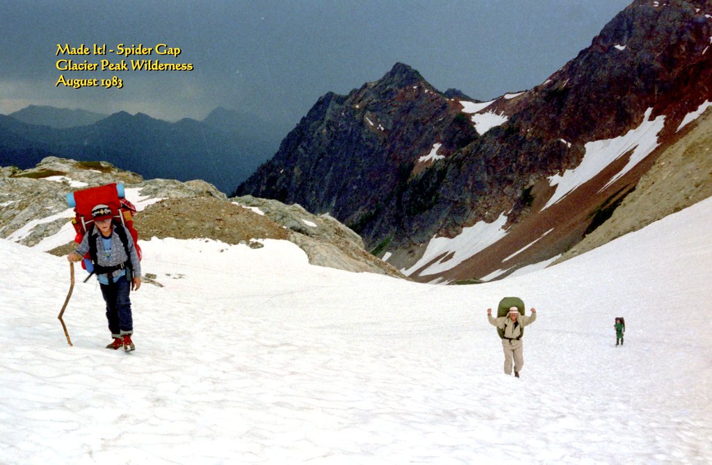 View Original Image