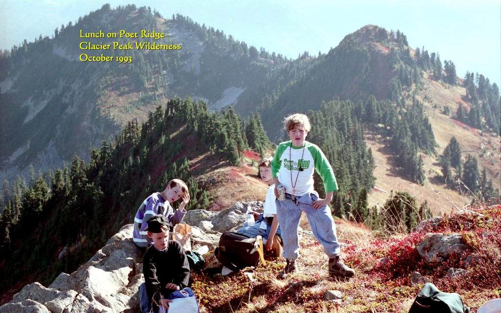 View Original Image