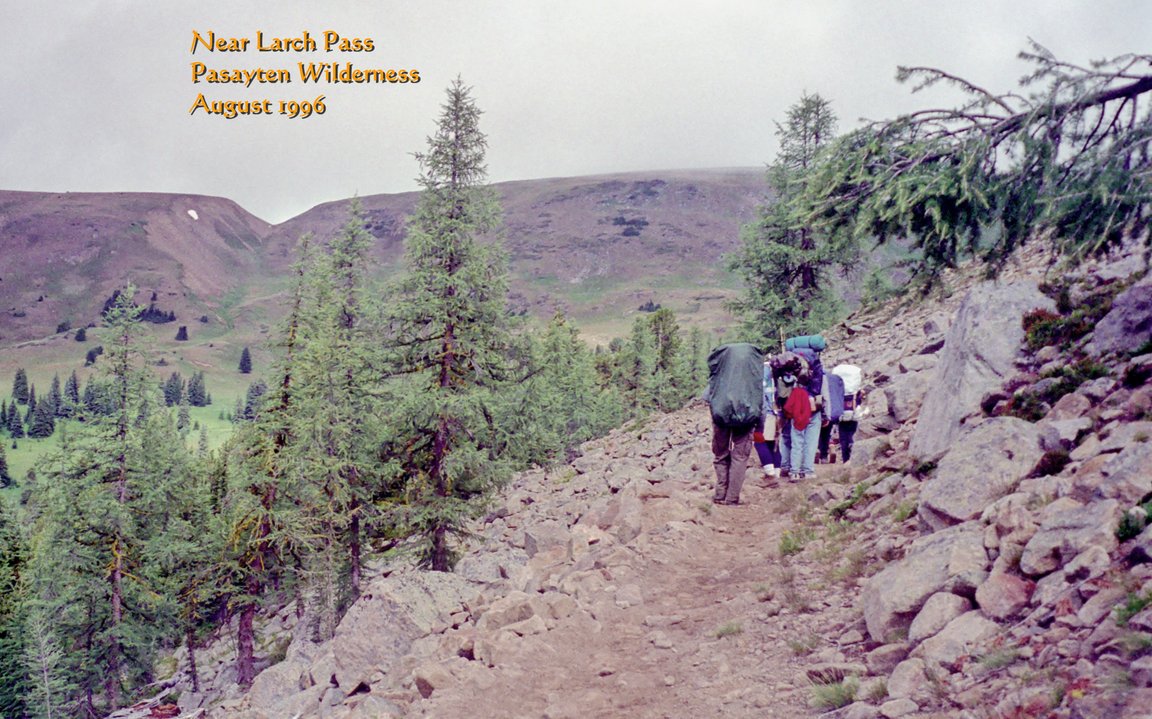 View Original Image