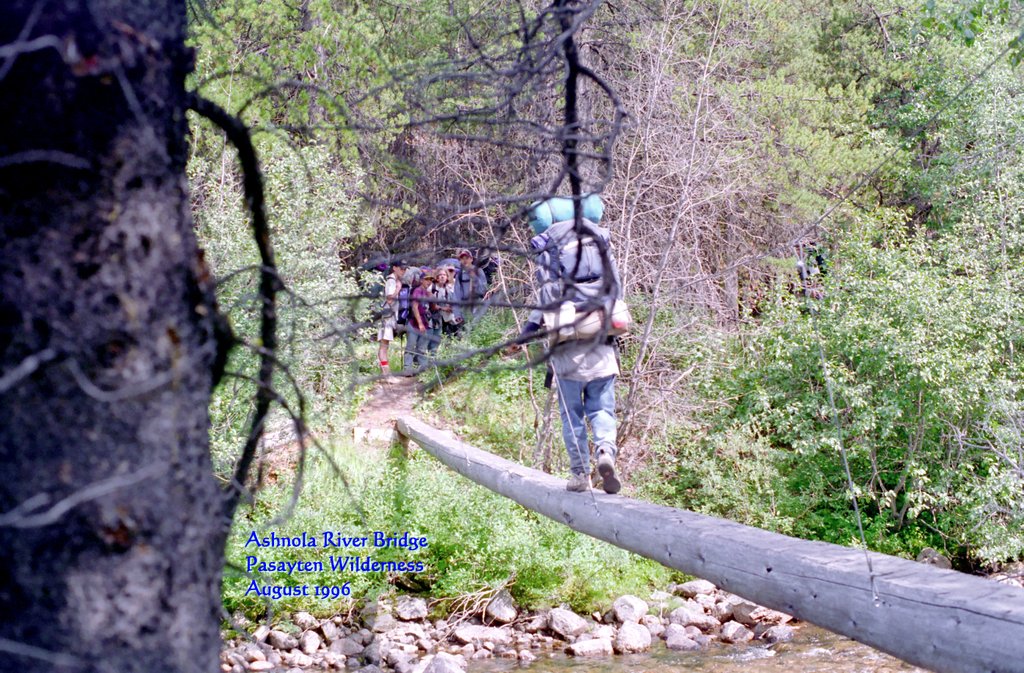 View Original Image