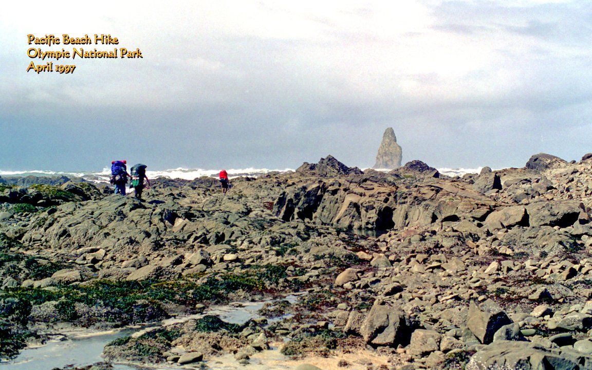 View Original Image