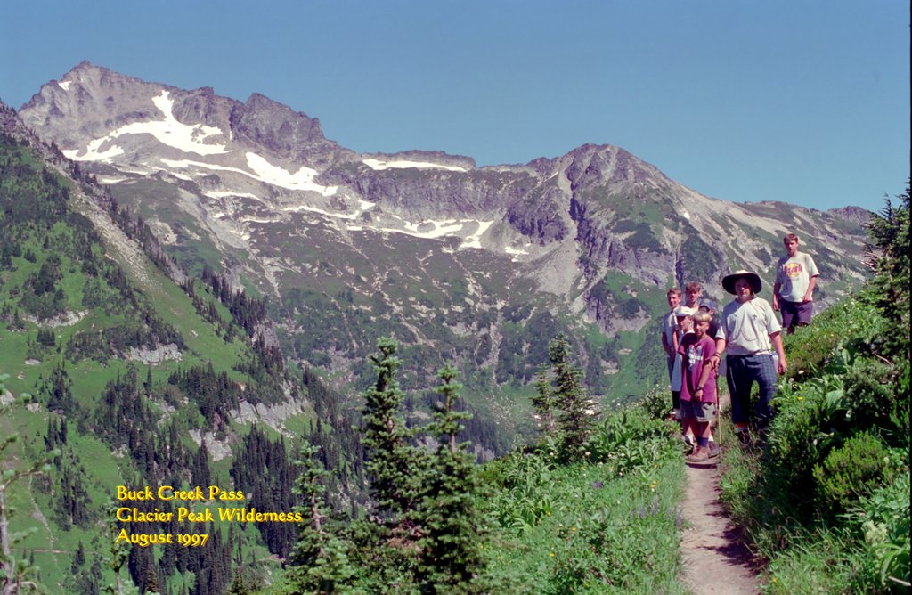View Original Image