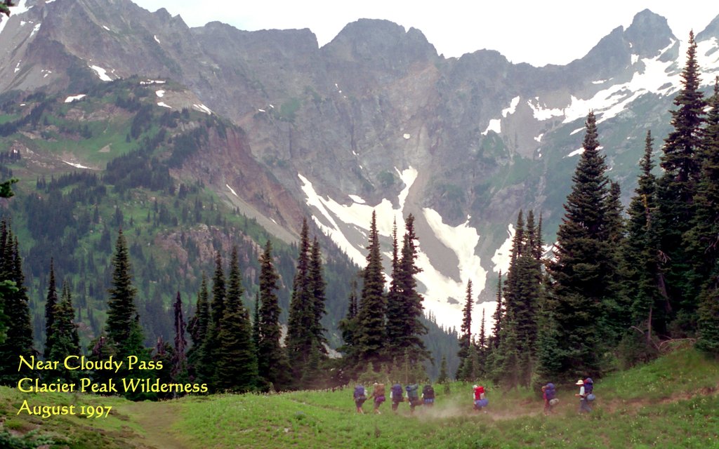 View Original Image