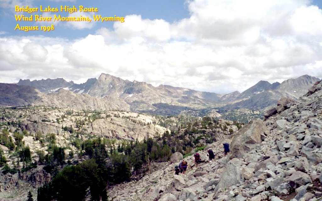 View Original Image