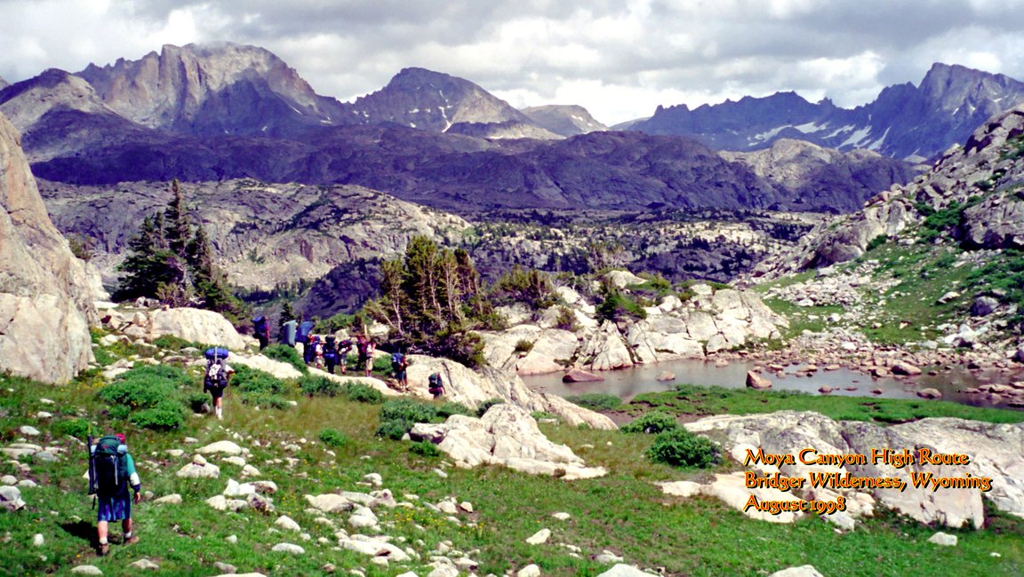 View Original Image