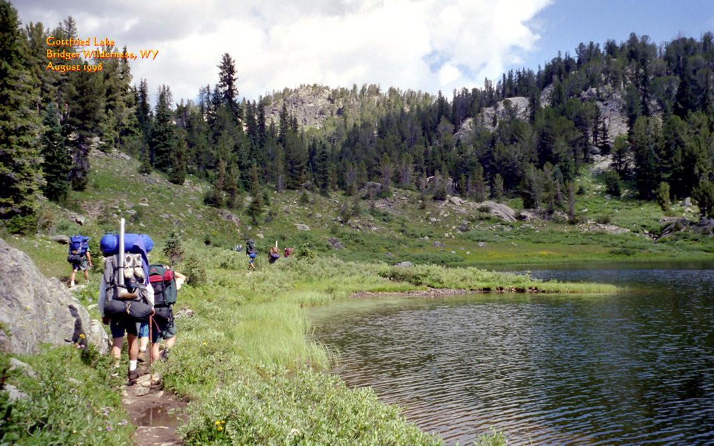 View Original Image