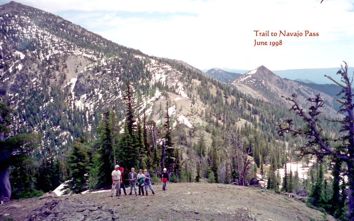 View Original Image