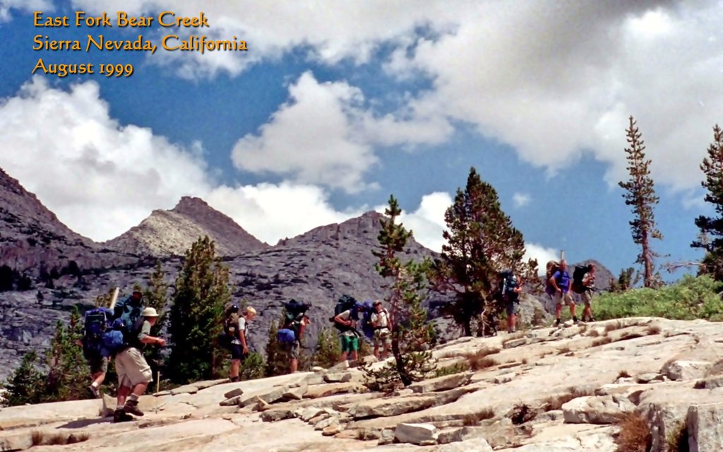 View Original Image