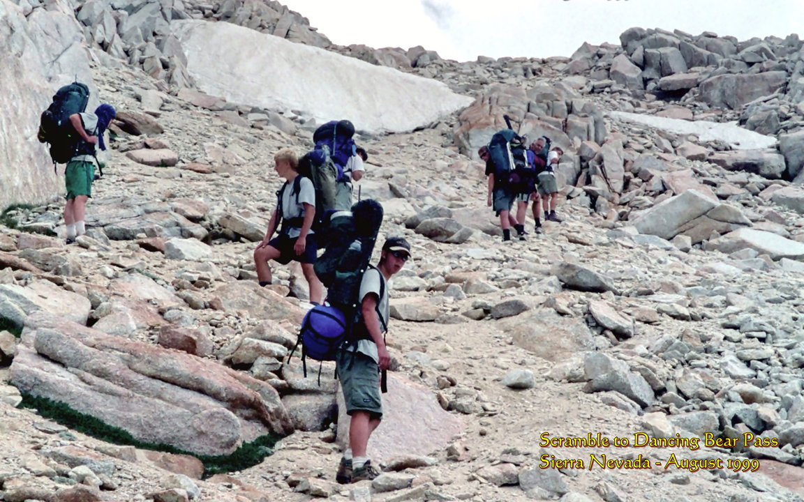 View Original Image