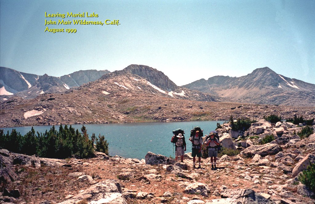 View Original Image