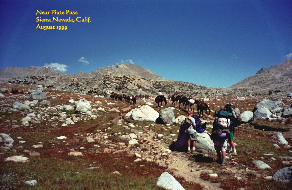 View Original Image