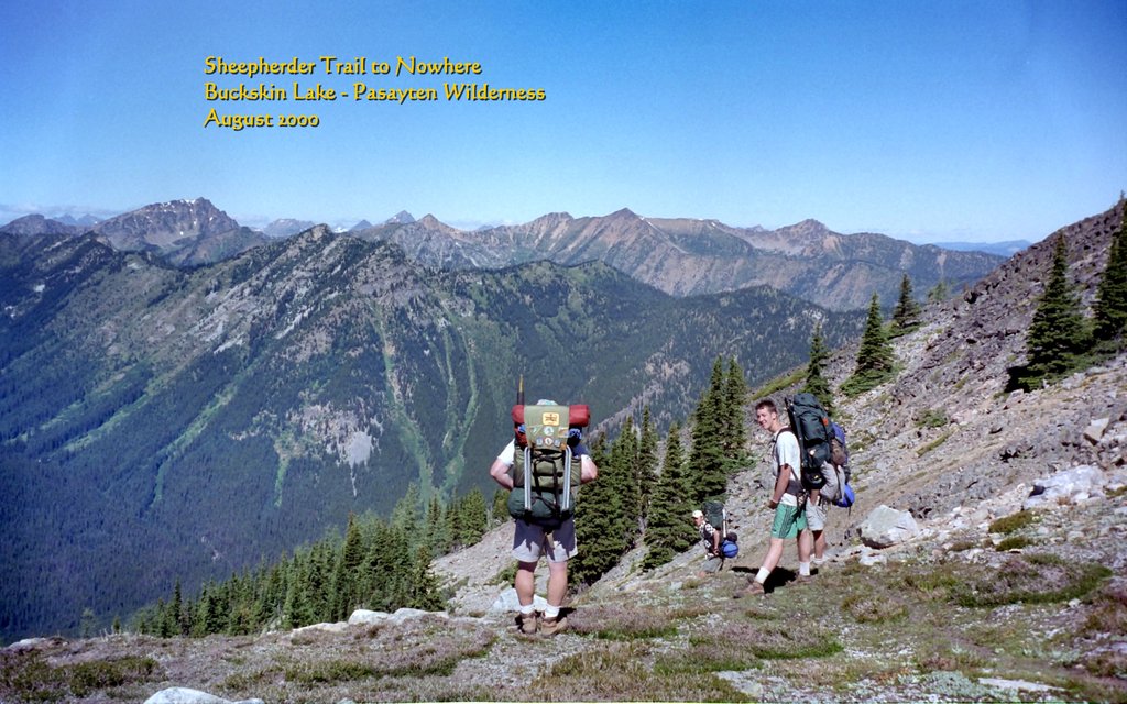 View Original Image