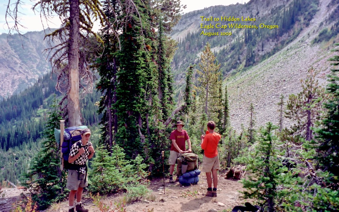 View Original Image