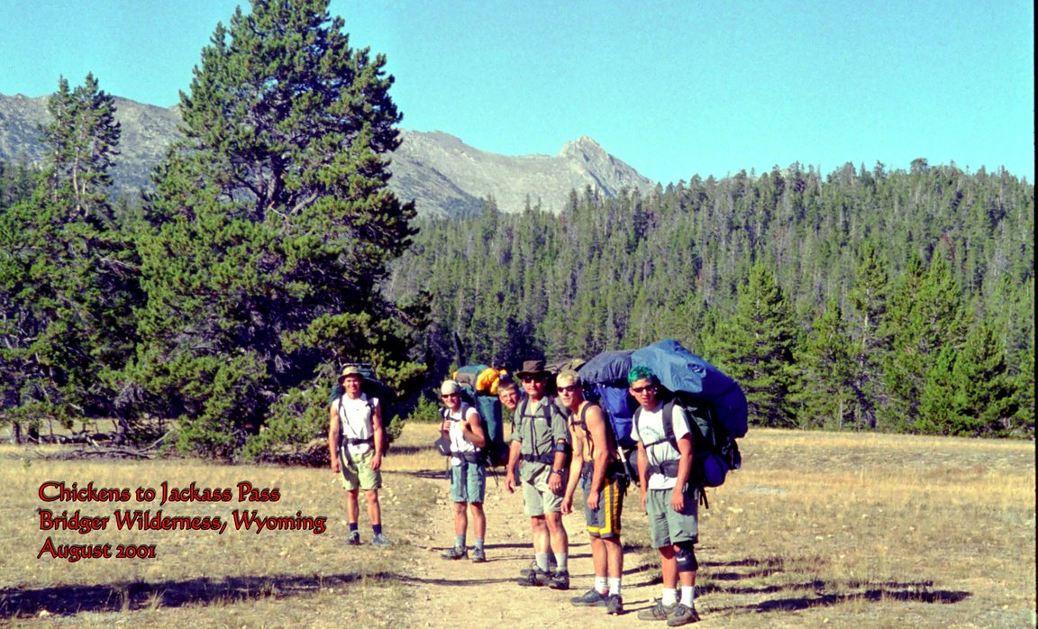 View Original Image