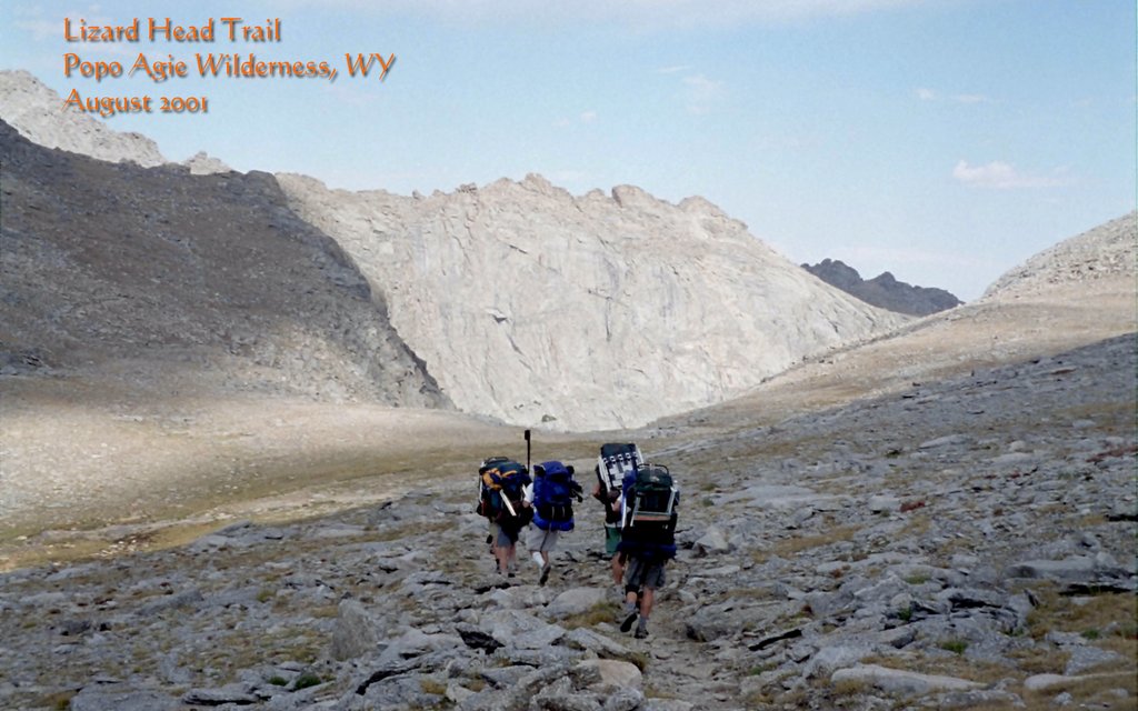 View Original Image