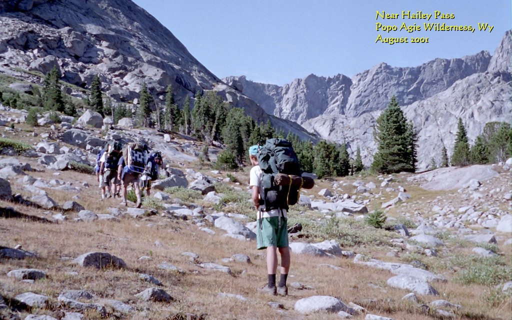 View Original Image
