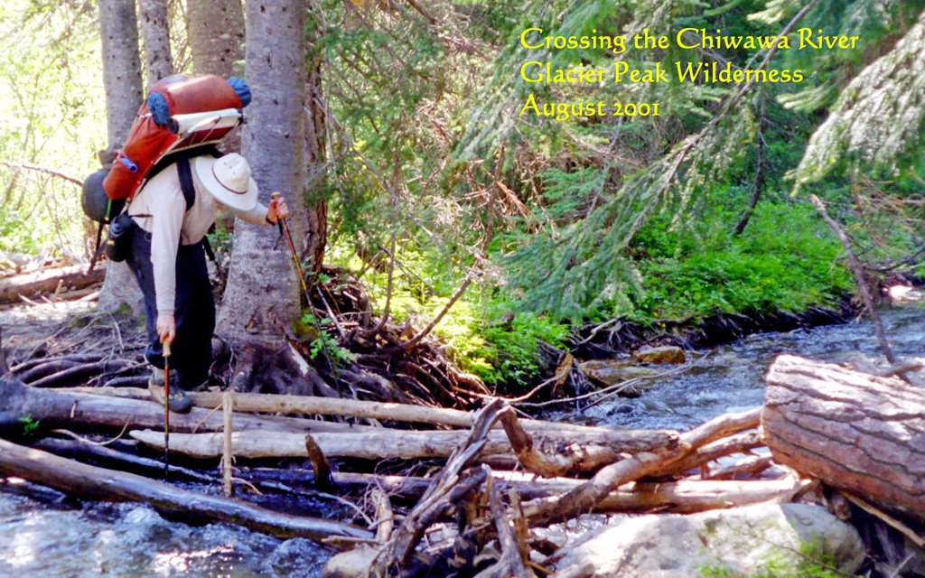 View Original Image