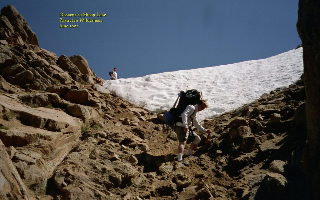 View Original Image