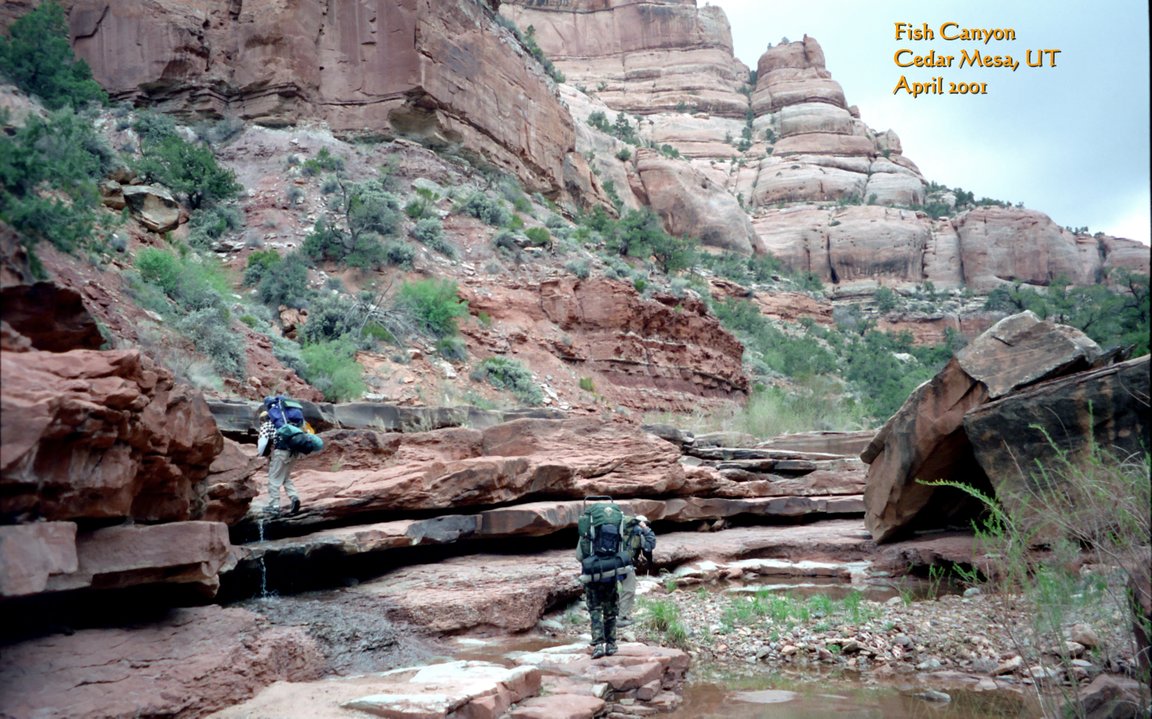 View Original Image