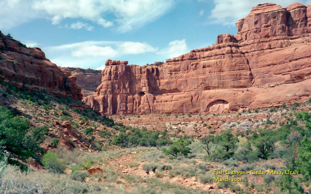View Original Image