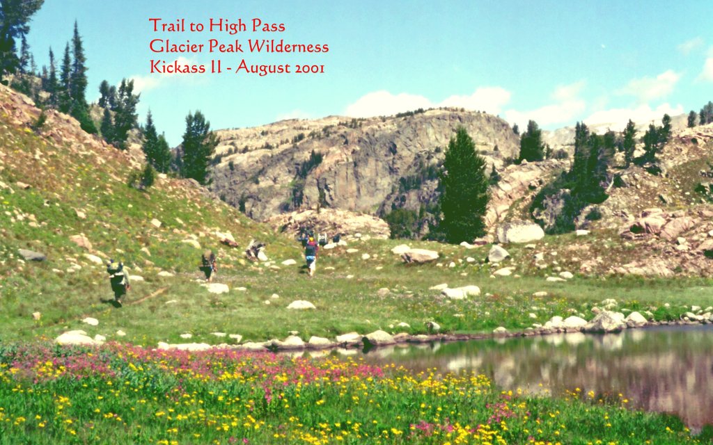View Original Image