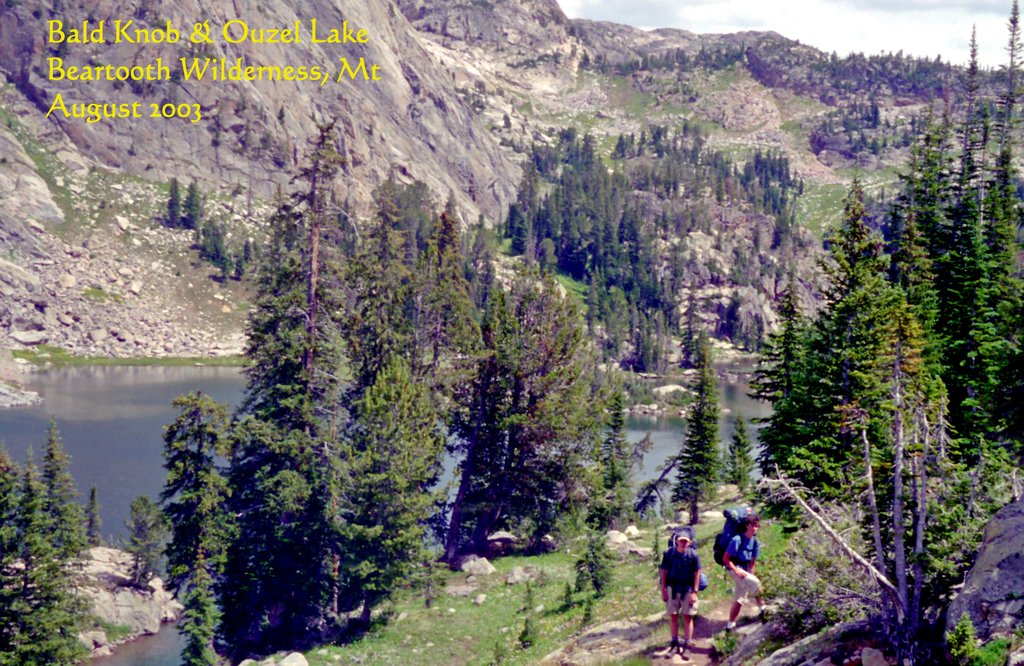 View Original Image