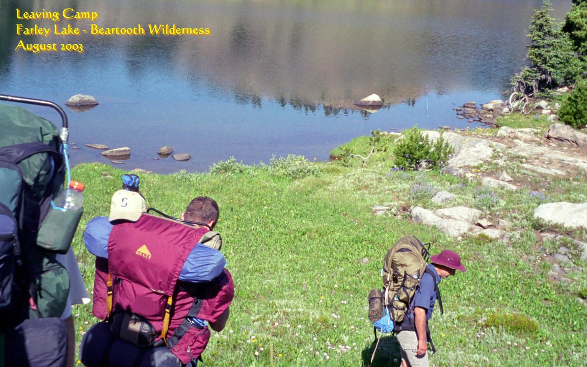 View Original Image