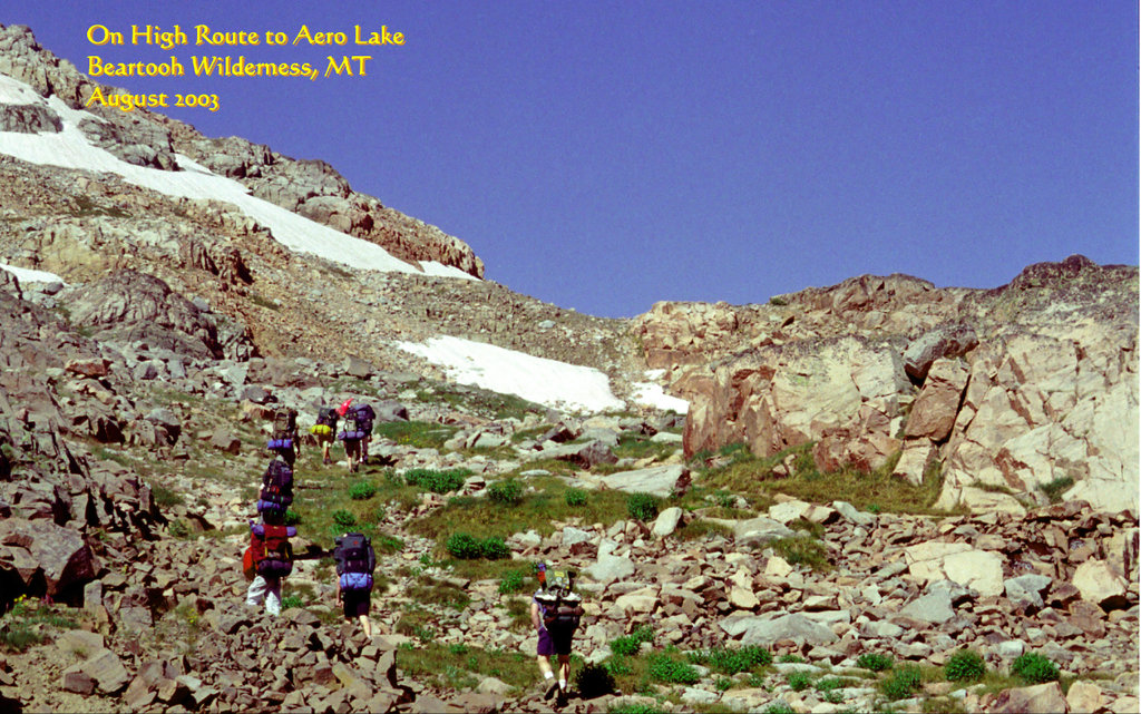 View Original Image