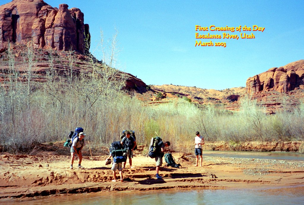 View Original Image