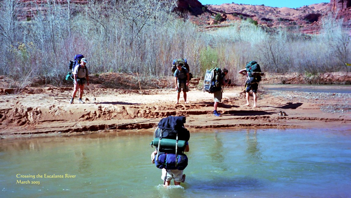 View Original Image
