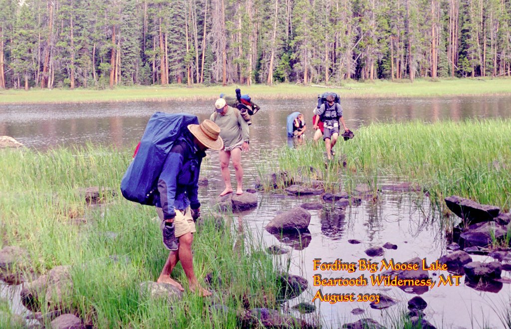 View Original Image