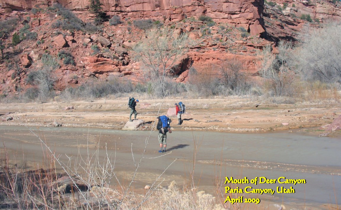 View Original Image
