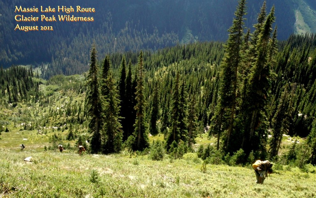 View Original Image