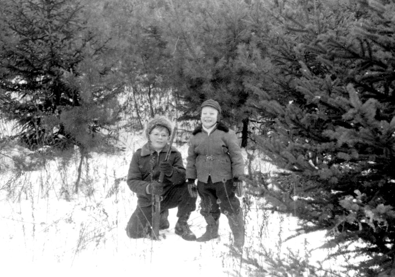 View Original Image