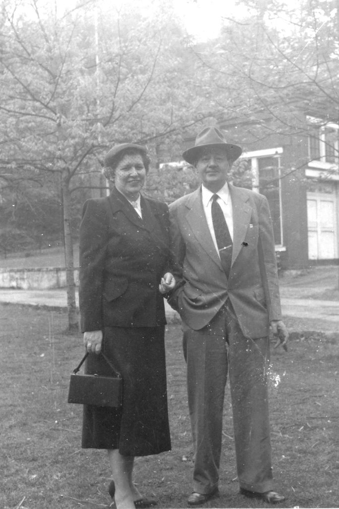 View Original Image