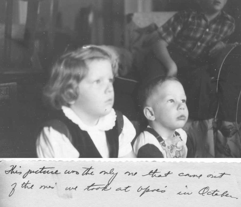 View Original Image