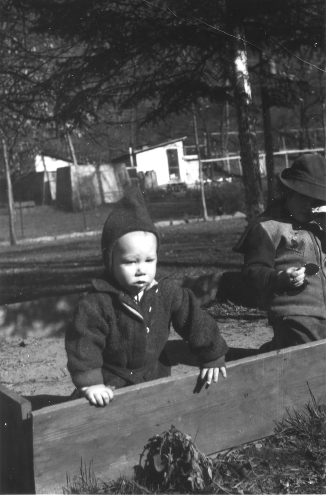 View Original Image