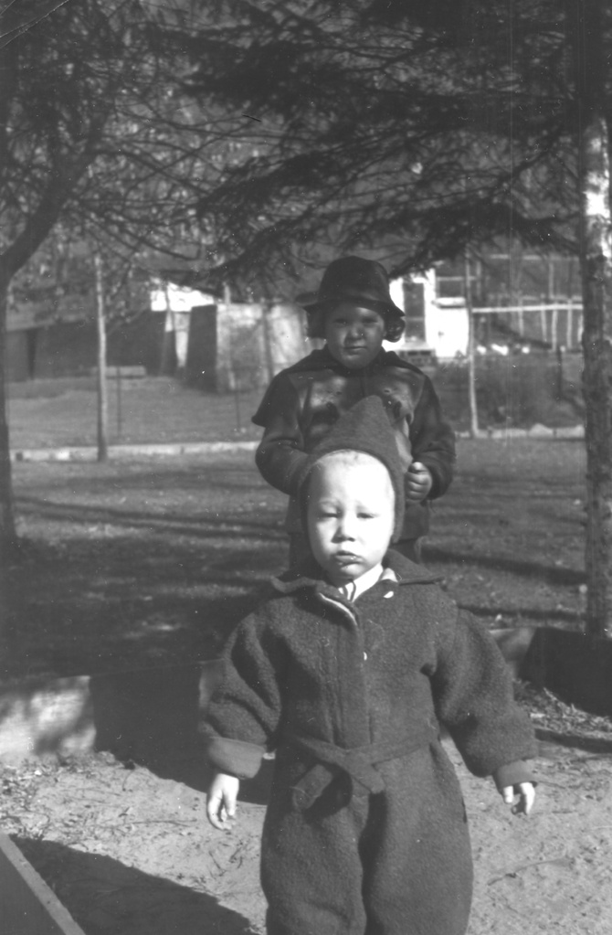 View Original Image
