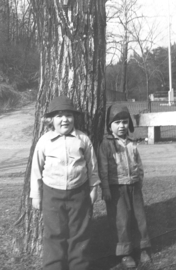 View Original Image