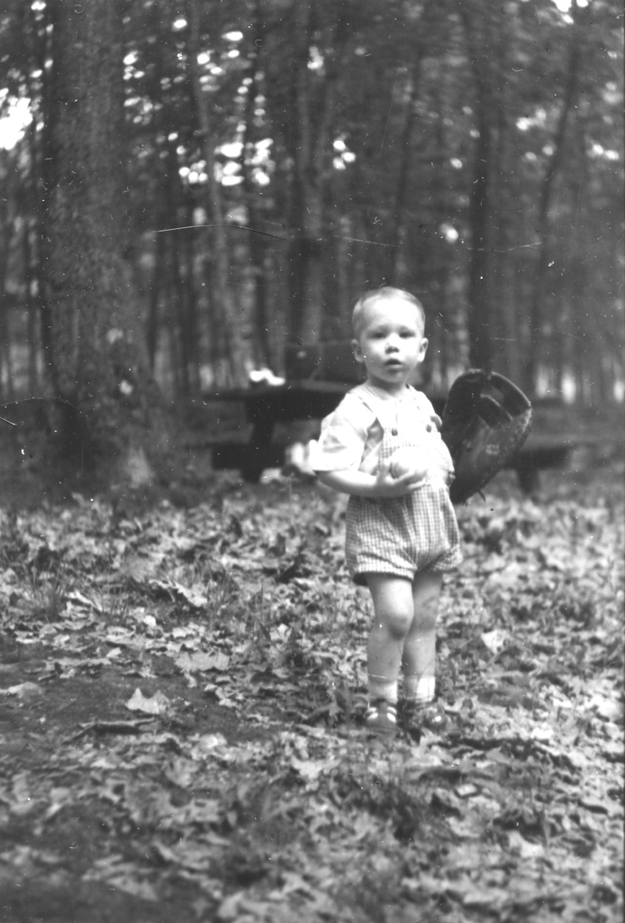 View Original Image