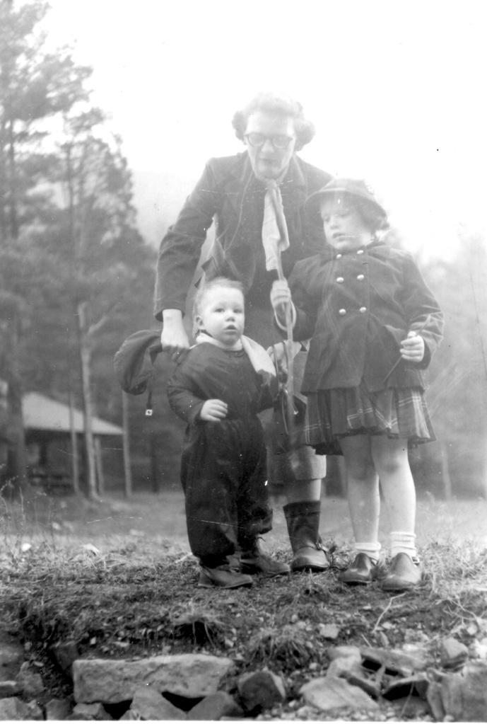 View Original Image