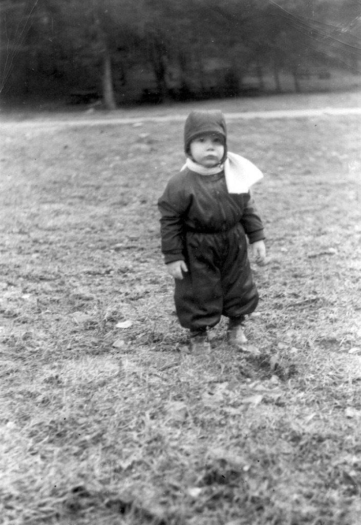 View Original Image