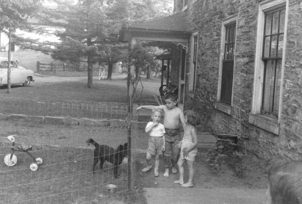 View Original Image