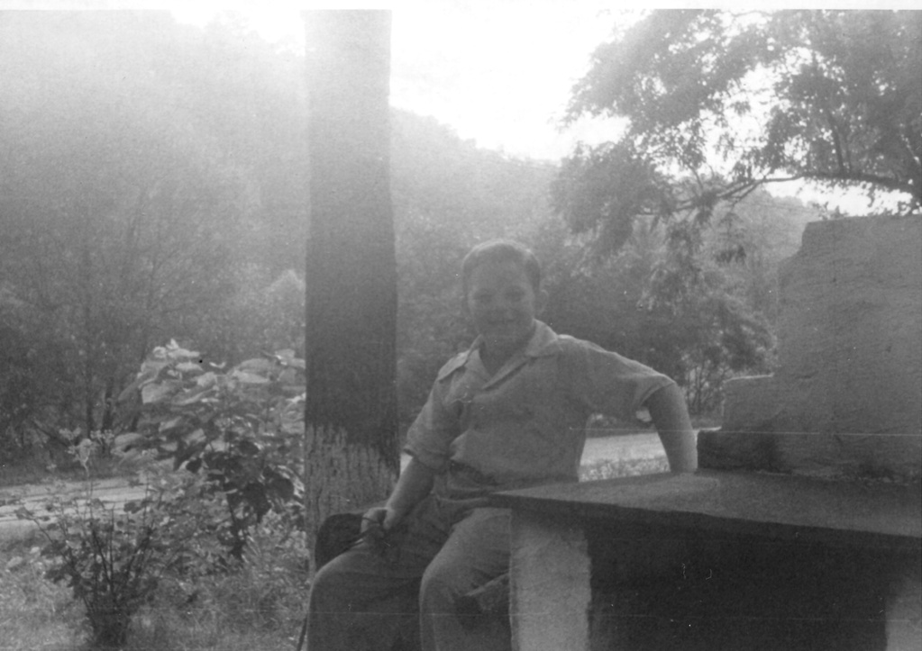 View Original Image