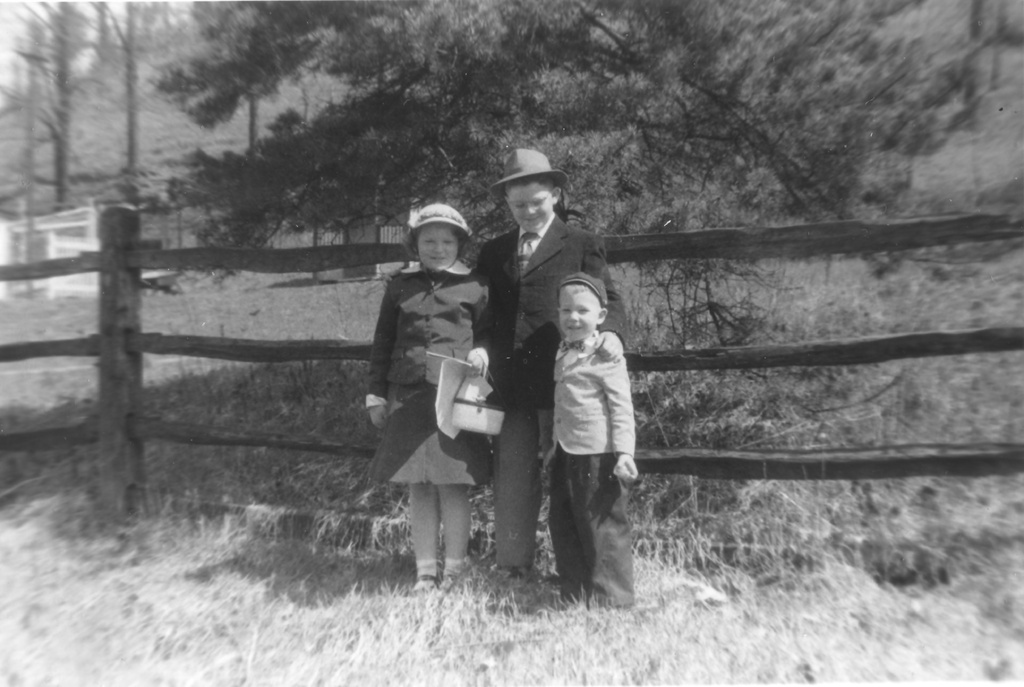 View Original Image