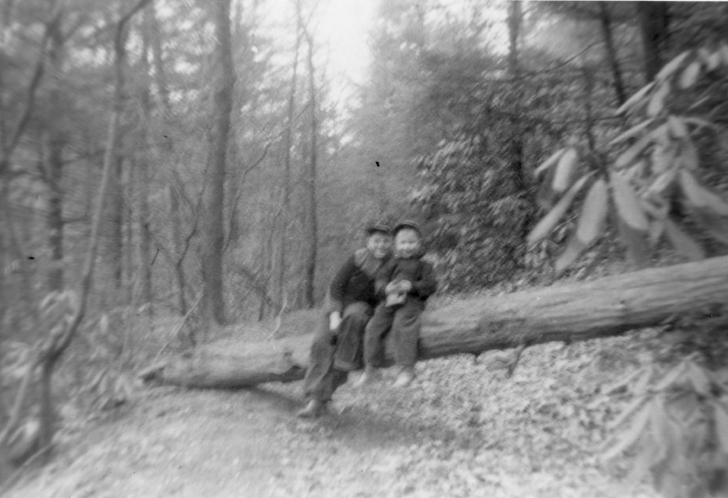 View Original Image