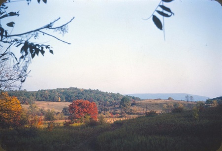 Enlarge photo 48