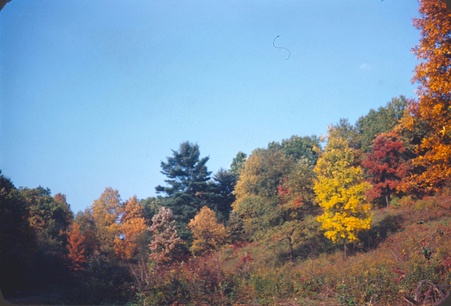 Enlarge photo 49